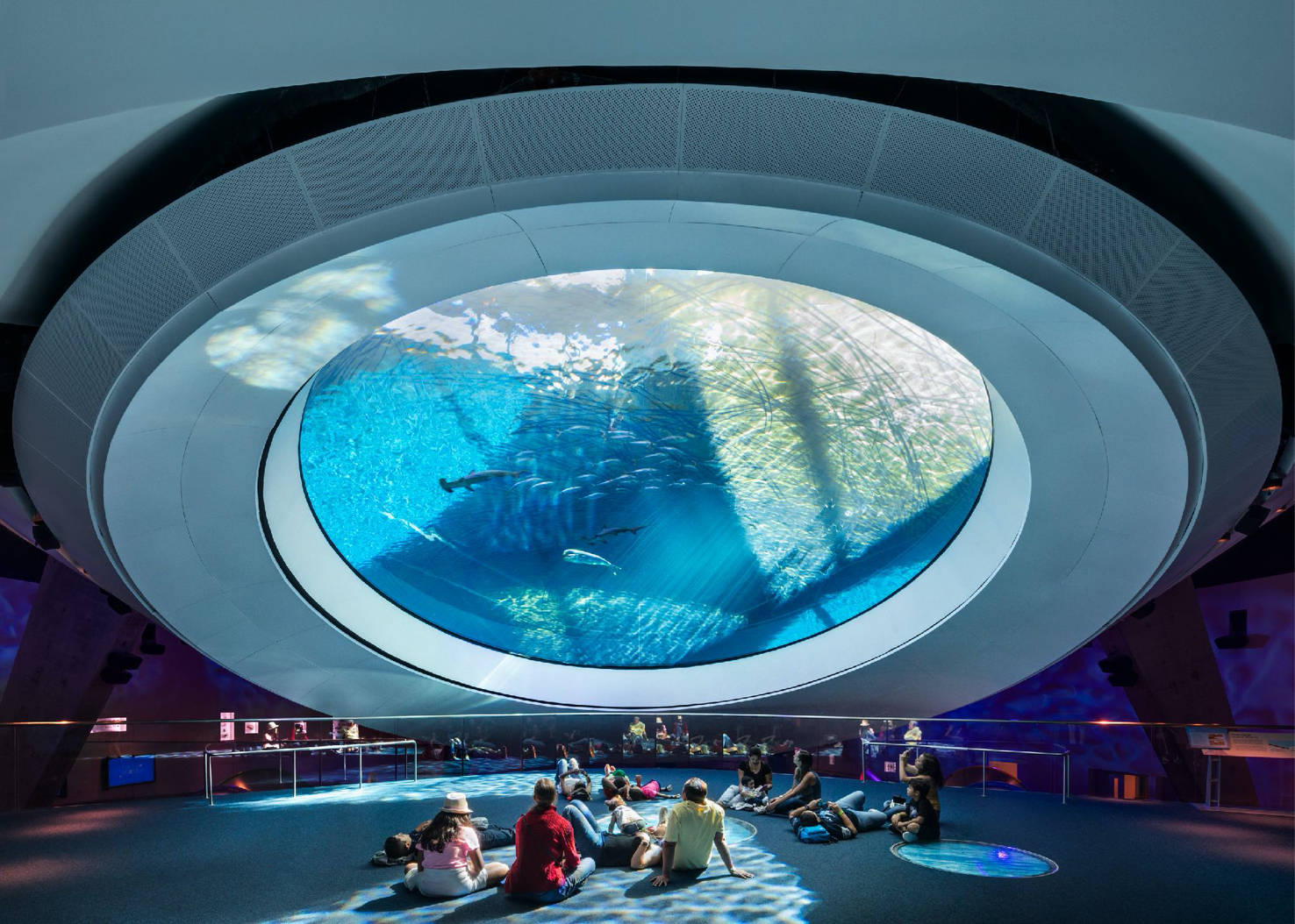 MIAMI - Patricia & Philip Frost Museum of Science | CLAX®