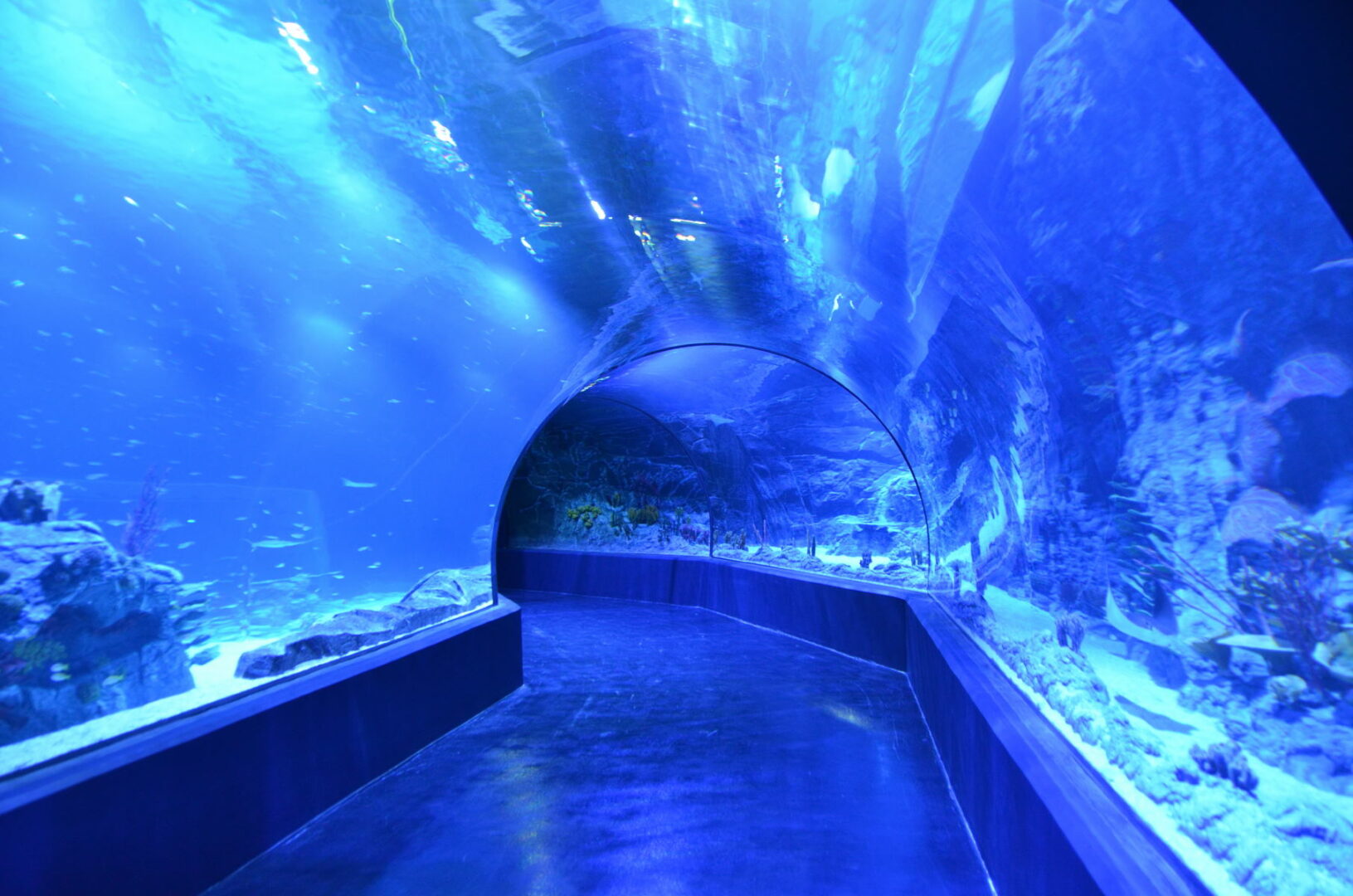 Atlantis Aquarium Madrid | CLAX®